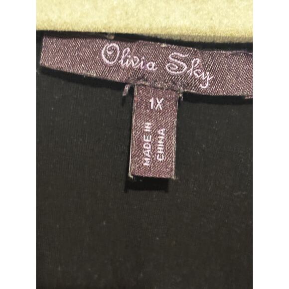 Olivia SKy Black 1X Plus V neck ruched Top Rayon Spandex Capsule Career Grunge - Picture 3 of 8